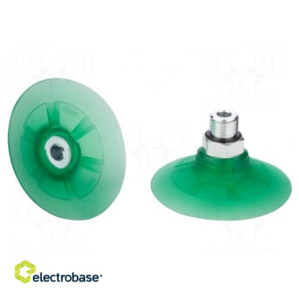 Suction cup | 50mm | G1/4-AG | Shore hardness: 65 | 7.955cm3 | SPF