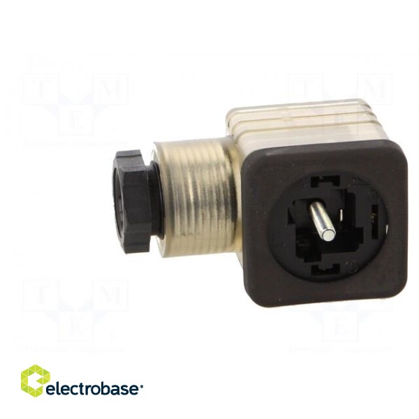 Plug for coil | PIN: 3 | natural (transparent) | 230V | A: 27mm | B: 28mm paveikslėlis 3