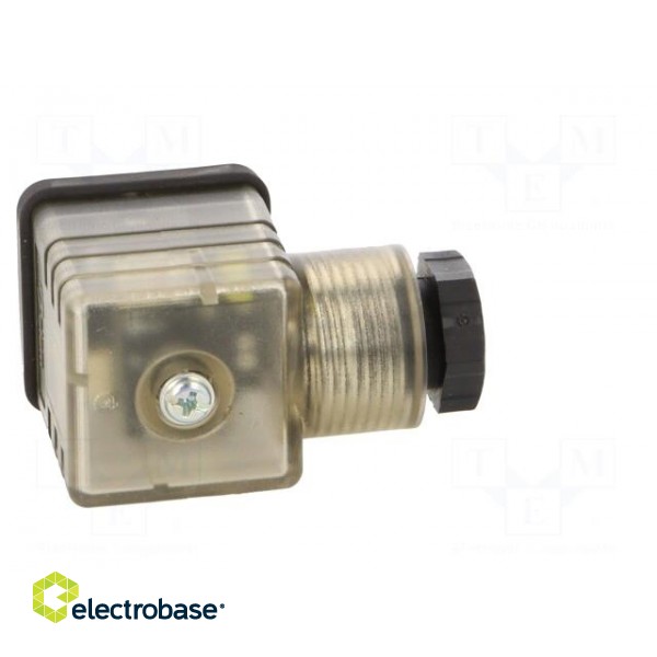 Plug for coil | PIN: 3 | natural (transparent) | 230V | A: 27mm | B: 28mm фото 7