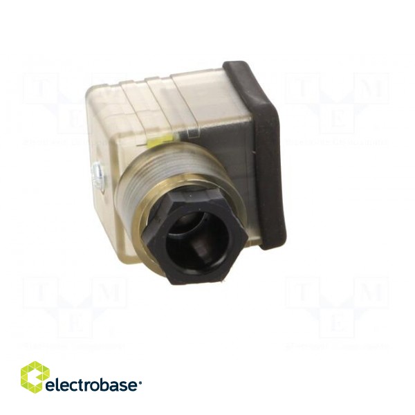 Plug for coil | PIN: 3 | natural (transparent) | 230V | A: 27mm | B: 28mm фото 9