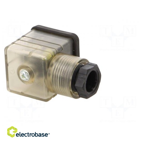 Plug for coil | PIN: 3 | natural (transparent) | 230V | A: 27mm | B: 28mm image 8