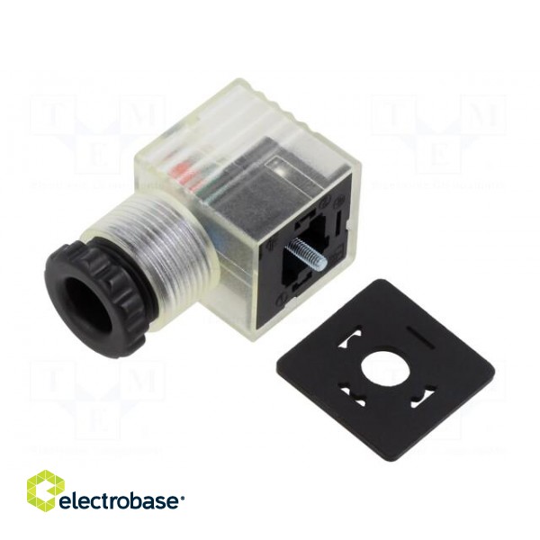 Plug for coil | PIN: 3 | natural (transparent) | 24V | A: 27mm | B: 28mm