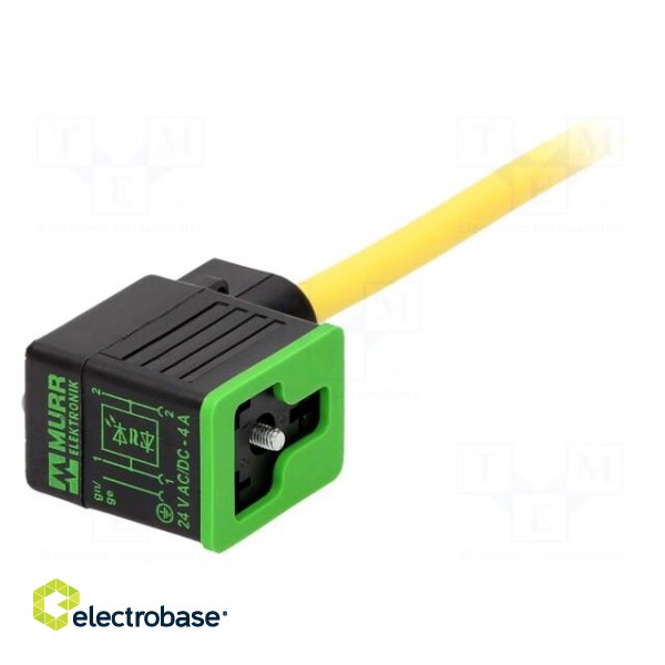 Valve connector | plug | Type: BI | PIN: 3 | 11mm | female | 24VDC | 4A | IP65