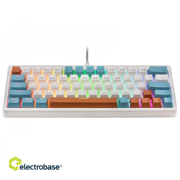 Keyboards and Mice // Keyboards // Klawiatura mechaniczna Tracer GAMEZONE EVO3 HOT SWAP 63 (White) image 2