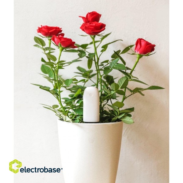 Xiaomi Mi Flower Care Plant Sensor image 4