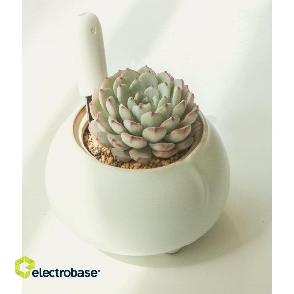 Xiaomi Mi Flower Care Plant Sensor image 5