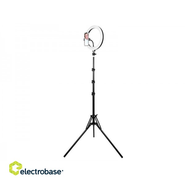 Tracer 46745 LED Ring Lamp 30cm with 210cm tripod image 1