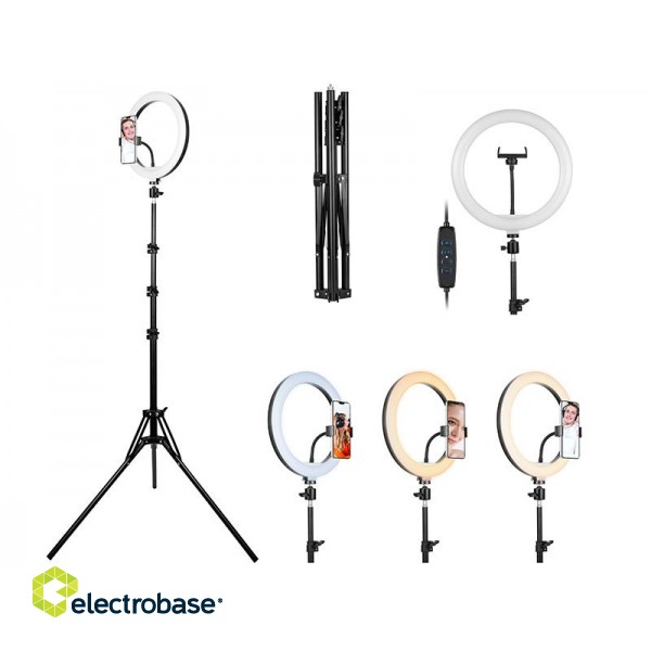 Tracer 46745 LED Ring Lamp 30cm with 210cm tripod image 4