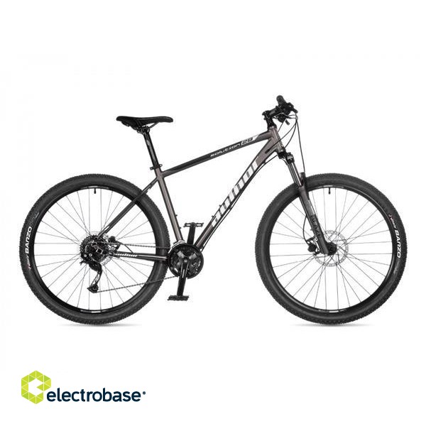 Author Solution Bike, Silver, 29''