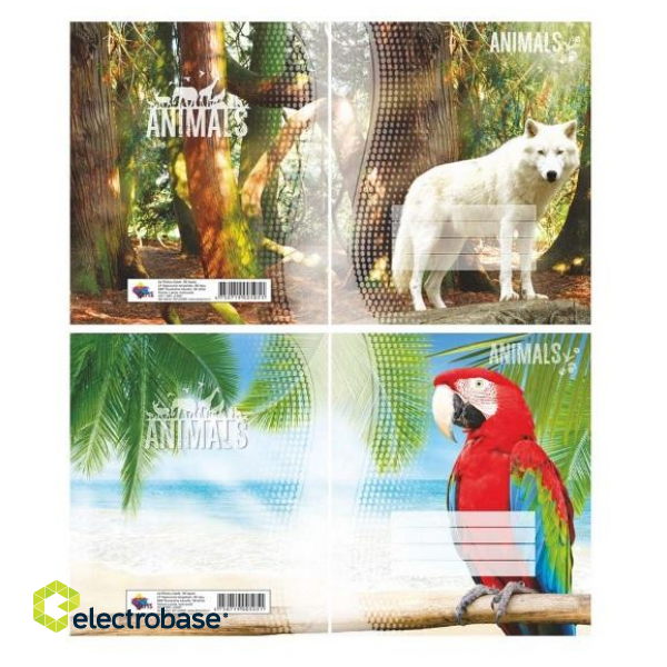 Oбщая тетрадь ABC JUMS Animals в картонной обложке, A5, в клетку, 48 листов