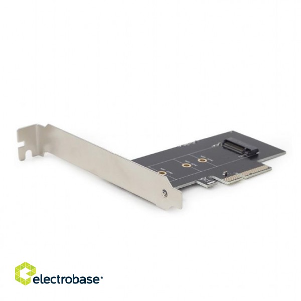 PC ACC M.2 SSD ADAPTER PCI-E/ADD-ON CARD PEX-M2-01 GEMBIRD paveikslėlis 1