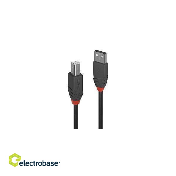 CABLE USB2 A-B 0.2M/ANTHRA 36670 LINDY фото 1