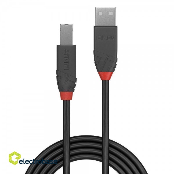 CABLE USB2 A-B 0.2M/ANTHRA 36670 LINDY фото 2