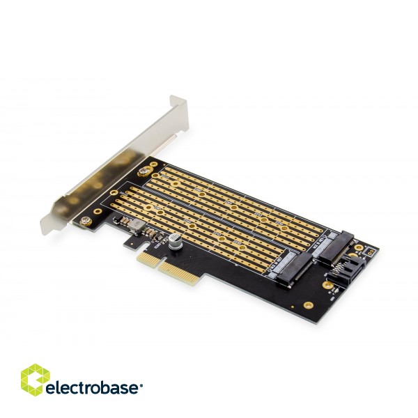 Digitus | M.2 NGFF / NMVe SSD PCI Express 3.0 (x4) Add-On Card | DS-33172 image 7