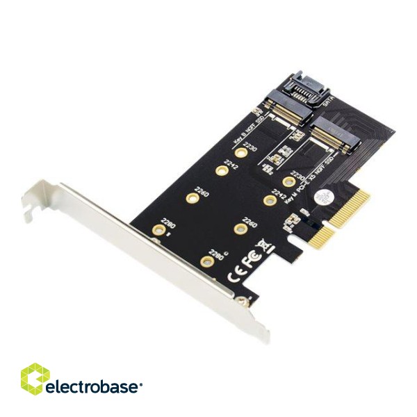 Digitus | M.2 NGFF / NVMe SSD PCI Express 3.0 (x4) Add-On Card | DS-33170 image 8