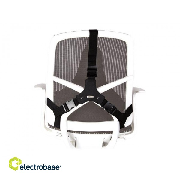 Professional back support - Professional Series | Depth 55 mm | Height 365 mm | High-density foam | Width 375 mm image 2