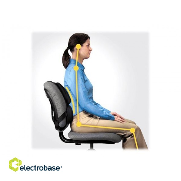 Professional back support - Professional Series | Depth 55 mm | Height 365 mm | High-density foam | Width 375 mm image 3