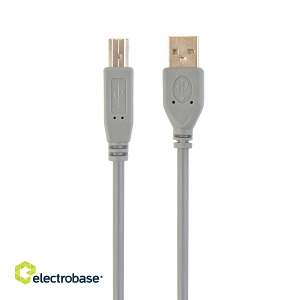 Cablexpert CCP-USB2-AMBM-6G USB 2.0 A-plug B-plug 6ft cable image 1