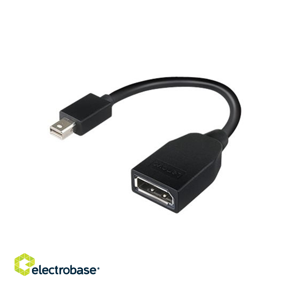 Lenovo | Mini-DisplayPort to DisplayPort Adapter | Mini-DisplayPort | DisplayPort image 1