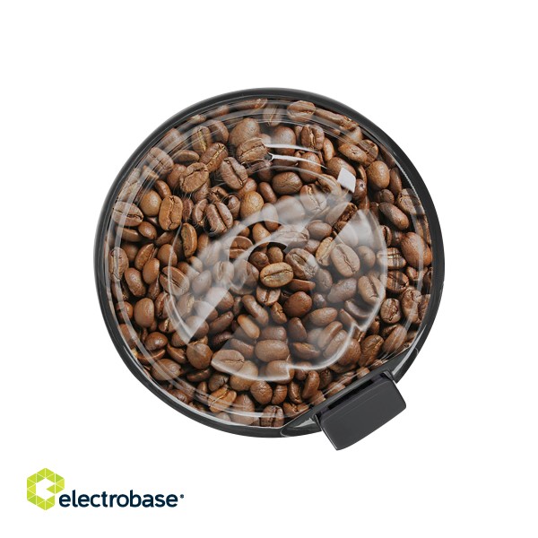 Bosch | Coffee Grinder | TSM6A017C | 180 W | Coffee beans capacity 75 g | Beige фото 8