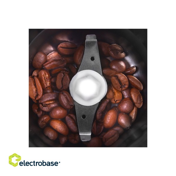 Coffee Grinder Adler | AD 443 | 150 W | Coffee beans capacity 70 g | Number of cups 8 pc(s) | Stainless steel image 7
