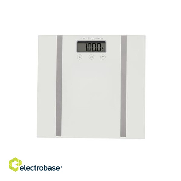 Adler | Bathroom scale with analyzer | AD 8154 | Maximum weight (capacity) 180 kg | Accuracy 100 g | Body Mass Index (BMI) measuring | White image 2