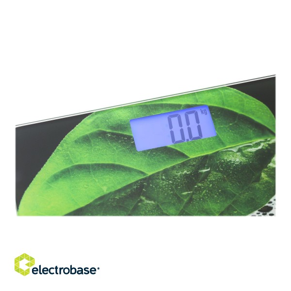 Mesko | Bathroom scales | MS 8149 | Maximum weight (capacity) 150 kg | Accuracy 100 g | Black/ green image 6