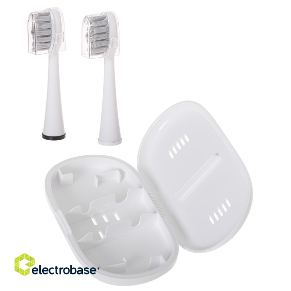 Adler | 2-in-1 Water Flossing Sonic Brush | AD 2180w | Rechargeable | For adults | Number of brush heads included 2 | Number of teeth brushing modes 1 | White image 10