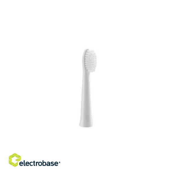 Panasonic | Brush Head | WEW0972W503 | Heads | For adults | Number of brush heads included 2 | Number of teeth brushing modes Does not apply | White фото 3