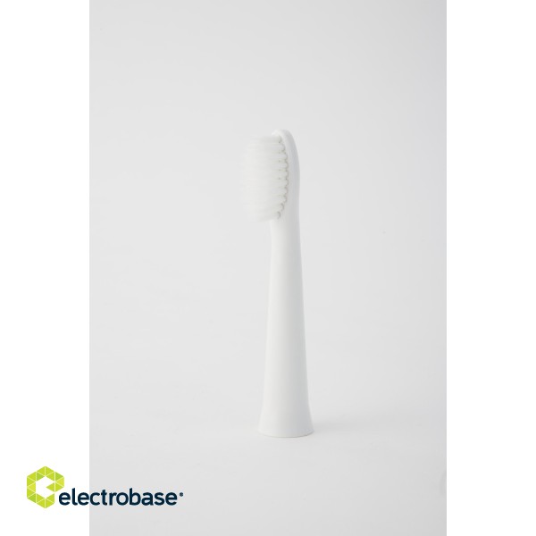 Panasonic | Brush Head | WEW0972W503 | Heads | For adults | Number of brush heads included 2 | Number of teeth brushing modes Does not apply | White image 4