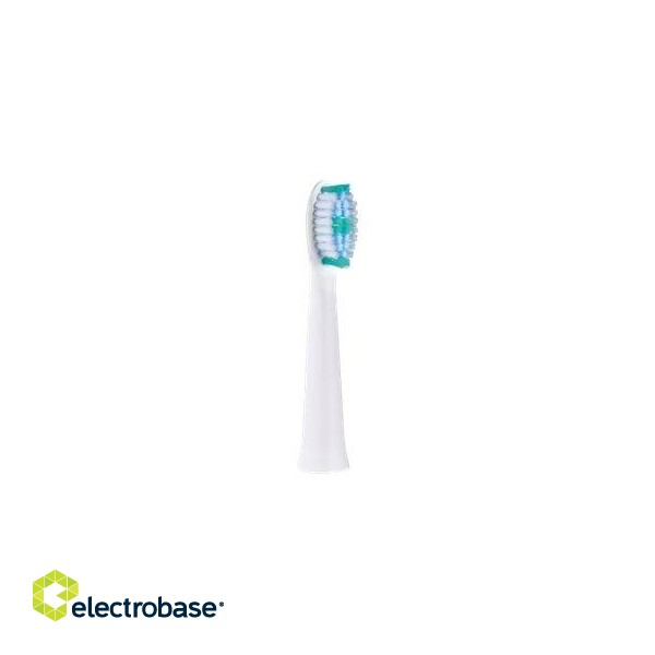 Panasonic | Toothbrush replacement | WEW0974W503 | Heads | For adults | Number of brush heads included 2 | Number of teeth brushing modes Does not apply | White фото 1