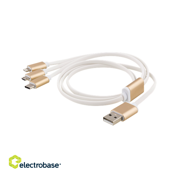 Kabelis EPZI USB-C, lightining, micro USB, 1m, baltas / USB-MULTI10 paveikslėlis 1
