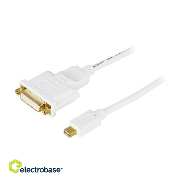 Adapteris DELTACO mini, DisplayPort / DVI-I, 1m, baltas / DP-DVI100 paveikslėlis 1
