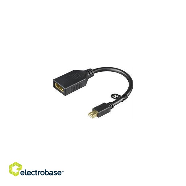 DELTACO adapteris, Mini DisplayPort 20 pin - DisplayPort 20-pin, Ultra HD in 30Hz, 0.2m, juodas /  MDP-DP1 paveikslėlis 1