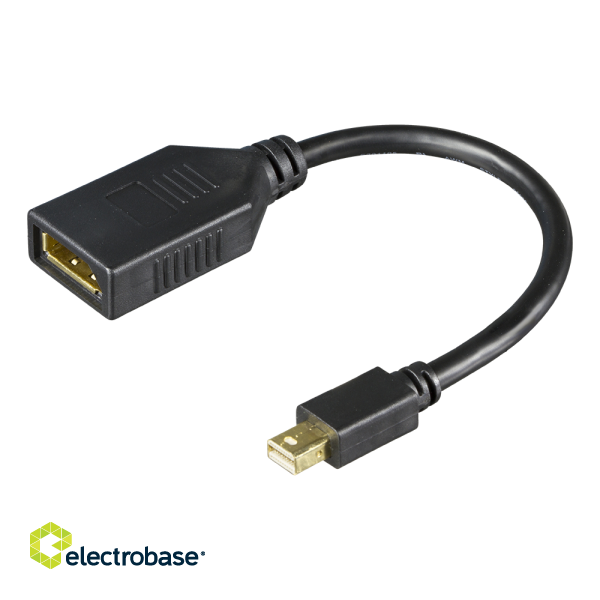 DisplayPort - miniDisplayPort adapter DELTACO 4K UHD 60Hz, 0.2m, black / MDP-DP1-K / 00110028 image 1