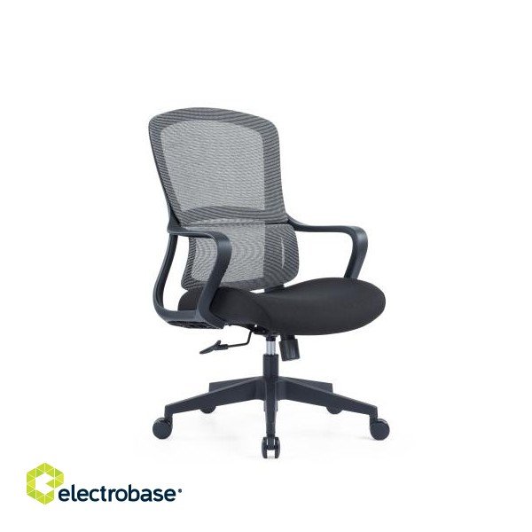 Up Up Darwin ergonomic office chair Black, Black fabric + Grey mesh фото 1