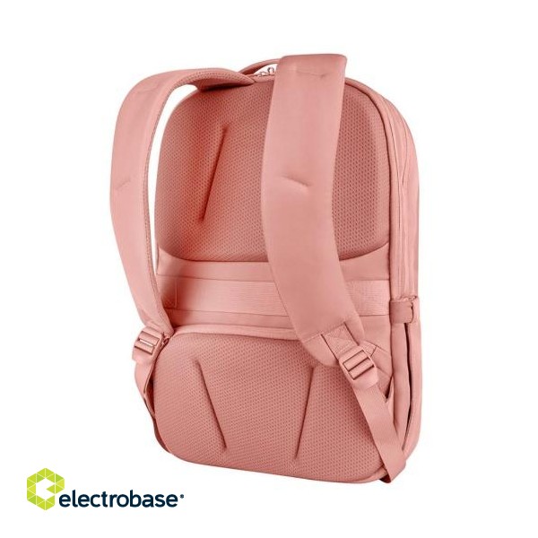 Back pack CoolPack Bolt BUSINESS LINE pink фото 2