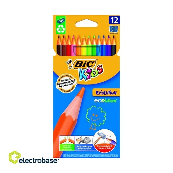 BIC Colored pencils KIDS EVOLUTION 12 colours 8290291