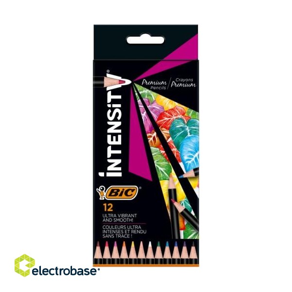 BIC Coloring pencils Intensity 12 colours 951844