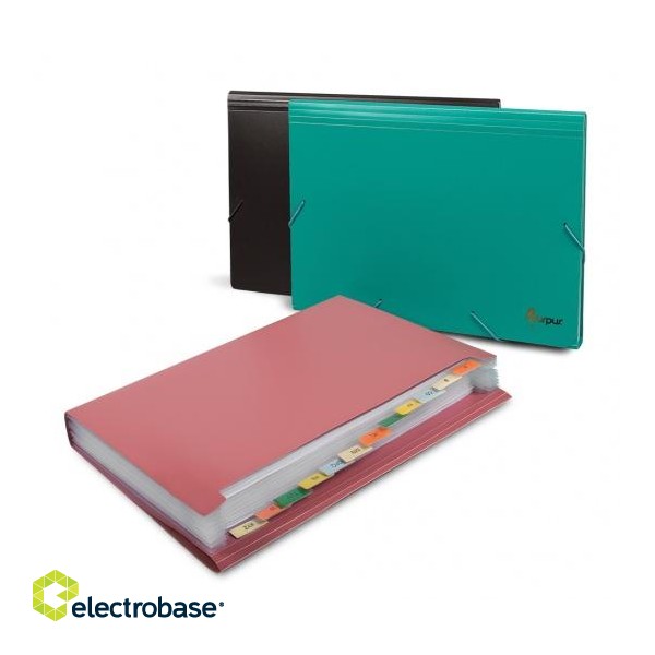 File folder with erasers Forpus, A4, plastic, green, 12 compartments