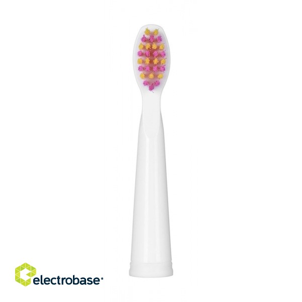 FAIRYWILL SONIC TOOTHBRUSHES 507 PINK AND BLACK paveikslėlis 5
