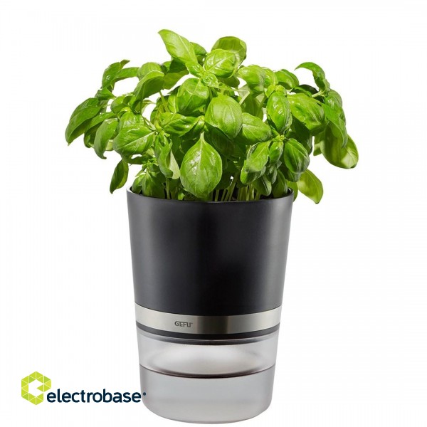 GEFU BOTANICO Herb pot Freestanding Plastic, Stainless steel Black image 1