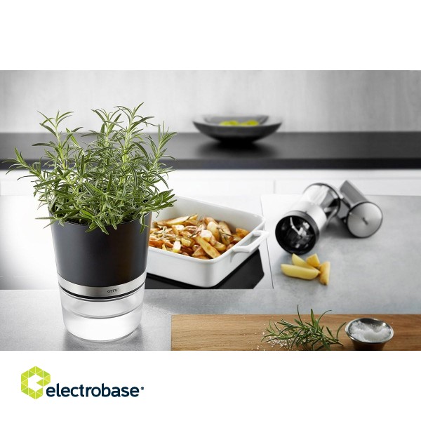 GEFU BOTANICO Herb pot Freestanding Plastic, Stainless steel Black image 2