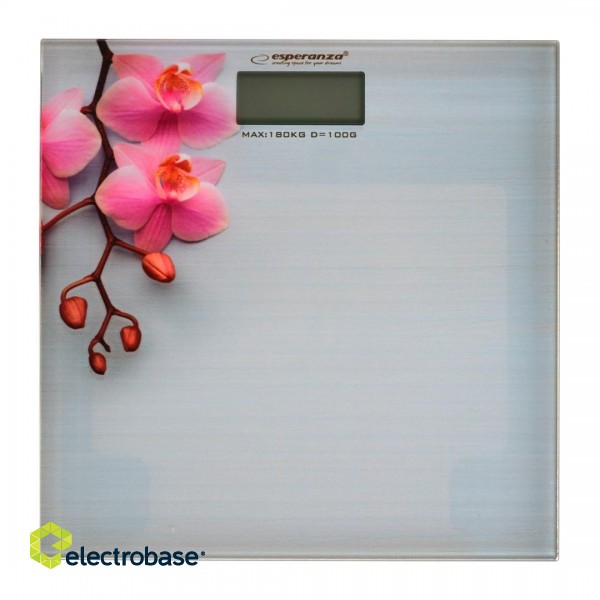 Esperanza EBS010 personal scale Electronic personal scale image 1