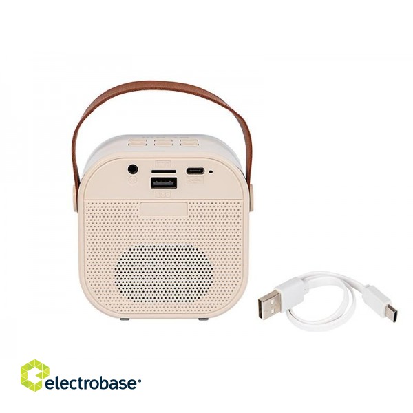Bluetooth speaker KARAOKE RGB 10W фото 4