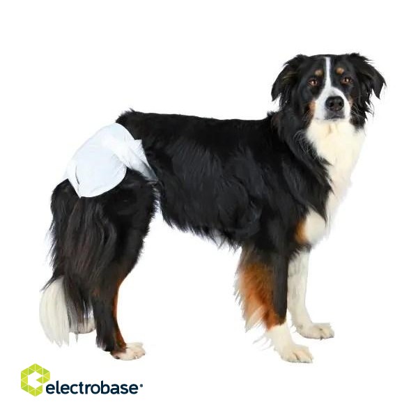 TRIXIE - Nappies for Dogs - XL image 3