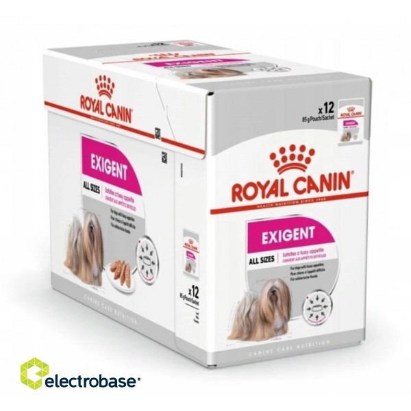 ROYAL CANIN Exigent Wet dog food Pâté 12x85 g