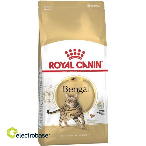 Royal Canin FBN Bengal Adult - dry cat food - 10kg