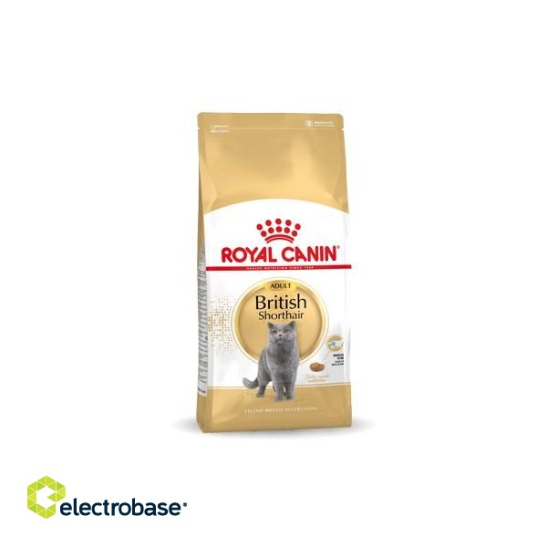 Royal Canin FBN British Shorthair Adult - dry cat food - 10kg