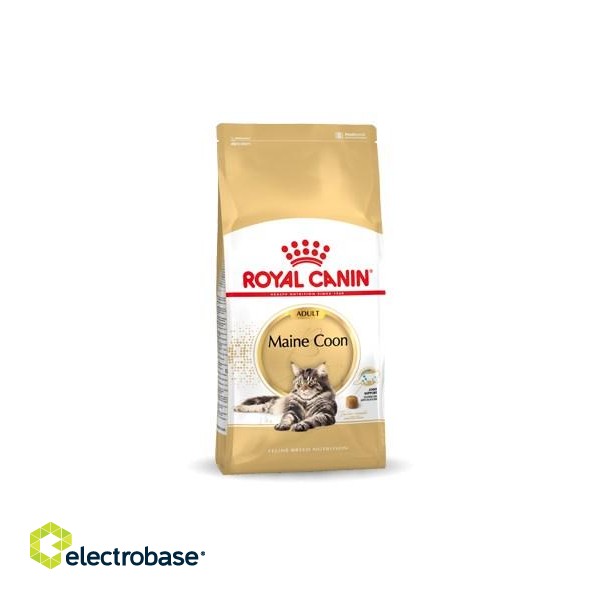 ROYAL CANIN FBN Maine Coon Adult dry cat food - 10kg